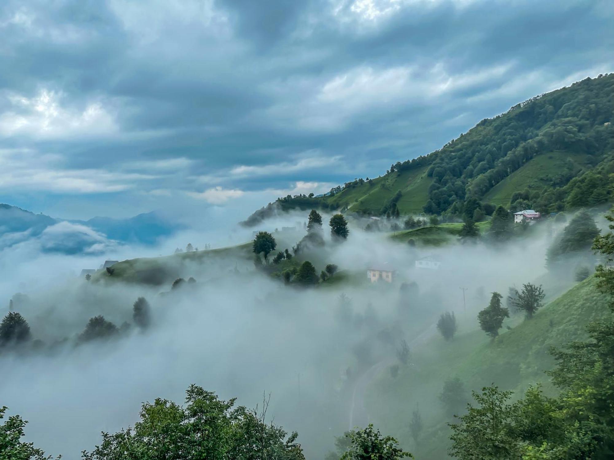 Nocleg ze śniadaniem Organic Village *